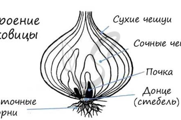 Как восстановить страницу на кракене